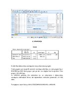 Konspekts 'Skolēnu sasniegumu novērtēšanas pētījuma datu faila fragments', 4.