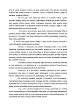 Referāts 'Komunikācijas process mazā sociālā grupā', 4.