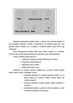 Referāts 'Komunikācijas process mazā sociālā grupā', 21.