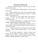 Referāts 'Vietējās pašvaldības', 17.