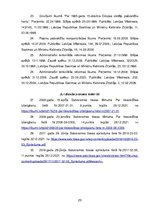 Referāts 'Vietējās pašvaldības', 20.