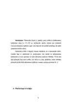 Biznesa plāns 'Nekustamo īpašumu vērtētājfirma', 8.