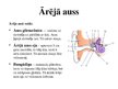 Prezentācija 'Dzirde un oža', 5.