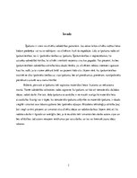 Referāts 'Patents kā īpašumtiesību objekts un tā aizsardzības metodes', 3.