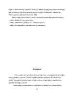 Referāts 'Patents kā īpašumtiesību objekts un tā aizsardzības metodes', 15.