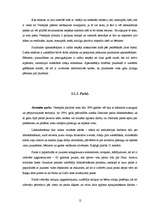 Referāts 'Tūrisma resursi Ventspilī', 12.