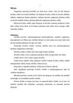 Referāts 'Starptautiskais grāmatvedības standarts', 3.