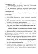 Referāts 'Starptautiskais grāmatvedības standarts', 4.