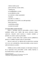 Referāts 'Grāmatvedības uzskaites organizācijas problēmas uzņēmumā', 17.