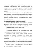 Referāts 'Grāmatvedības uzskaites organizācijas problēmas uzņēmumā', 20.