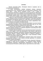 Diplomdarbs 'Zaudējumu atlīdzināšana par intelektuālā īpašuma tiesību pārkāpumiem', 3.