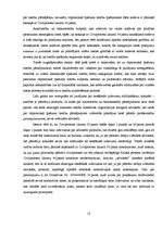 Diplomdarbs 'Zaudējumu atlīdzināšana par intelektuālā īpašuma tiesību pārkāpumiem', 73.