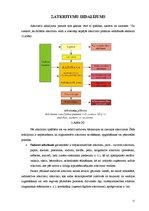 Referāts 'Atkritumu apsaimniekošanas sistēmas izvērtējums Ventspils reģionā', 11.