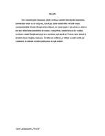 Referāts 'Vezuvs', 2.