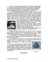 Referāts 'Vezuvs', 6.