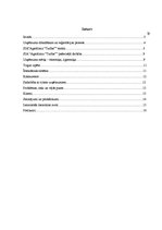 Prakses atskaite 'Prakses pārskats SIA "Turība"', 1.