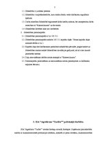 Prakses atskaite 'Prakses pārskats SIA "Turība"', 7.