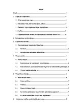 Referāts 'AirBaltic uzņēmuma pētījums', 2.