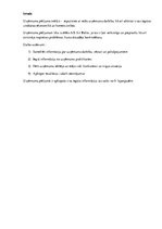 Referāts 'AirBaltic uzņēmuma pētījums', 4.