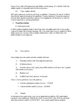 Referāts 'AirBaltic uzņēmuma pētījums', 8.