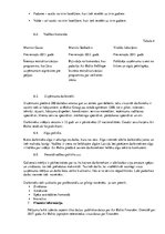 Referāts 'AirBaltic uzņēmuma pētījums', 10.