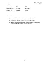 Referāts 'AirBaltic uzņēmuma pētījums', 11.