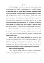 Referāts 'Magnēti. Magnētu pielietojums dzīvē', 3.