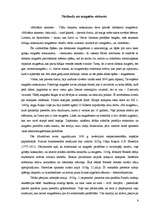 Referāts 'Magnēti. Magnētu pielietojums dzīvē', 6.