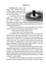 Referāts 'Magnēti. Magnētu pielietojums dzīvē', 8.