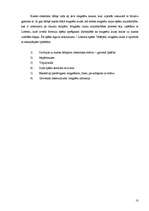 Referāts 'Magnēti. Magnētu pielietojums dzīvē', 10.