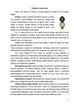 Referāts 'Magnēti. Magnētu pielietojums dzīvē', 11.