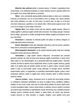 Referāts 'Magnēti. Magnētu pielietojums dzīvē', 12.