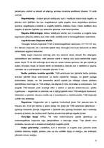 Referāts 'Magnēti. Magnētu pielietojums dzīvē', 13.