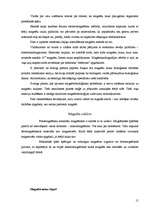 Referāts 'Magnēti. Magnētu pielietojums dzīvē', 15.