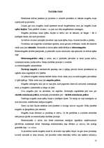 Referāts 'Magnēti. Magnētu pielietojums dzīvē', 18.