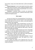 Referāts 'Magnēti. Magnētu pielietojums dzīvē', 19.