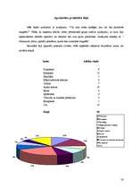 Referāts 'Magnēti. Magnētu pielietojums dzīvē', 20.