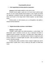 Referāts 'Magnēti. Magnētu pielietojums dzīvē', 22.