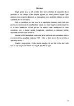 Referāts 'Magnēti. Magnētu pielietojums dzīvē', 23.