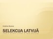 Prezentācija 'Selekcija Latvijā', 1.