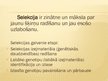 Prezentācija 'Selekcija Latvijā', 2.