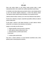 Referāts 'Gada deklarāciju formas un to sastādīšanas nosacījumi', 1.