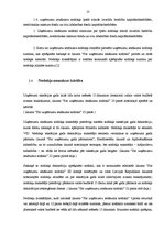 Referāts 'Gada deklarāciju formas un to sastādīšanas nosacījumi', 11.