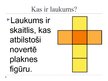 Referāts 'Laukumi un tilpumi', 2.