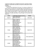 Referāts 'Eposs "Lāčplēsis"', 2.