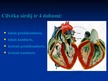 Prezentācija 'Asinsrites sistēma', 9.
