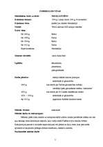 Konspekts 'Nikolā Pusēns', 2.