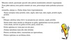 Prezentācija 'Skolēnu rokraksta pilnveidošanas iespējas sākumskolas pirmajā klasē', 9.