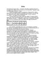 Referāts 'Skābeklis (gaiss, ozons), sērs', 4.