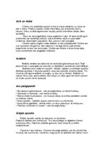 Konspekts 'Referāts par acīm un redzi', 2.